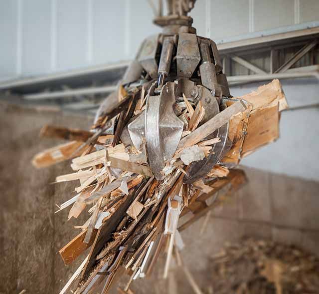 Holz sammeln und wiederzuverwerten
